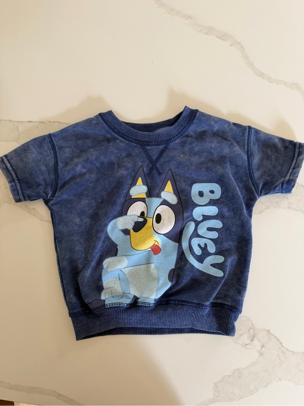Bluey Toddler Short Sleeve Pullover Shirt - Blue